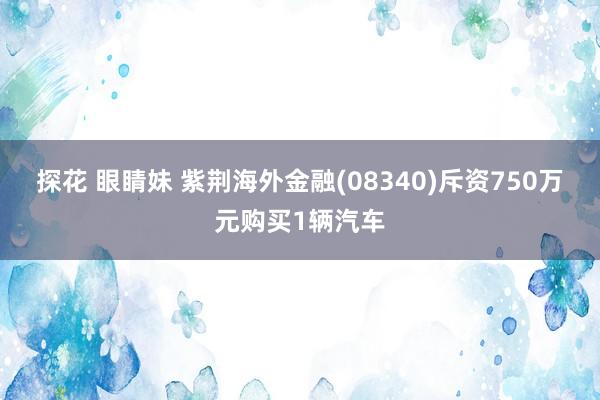 探花 眼睛妹 紫荆海外金融(08340)斥资750万元购买1辆汽车