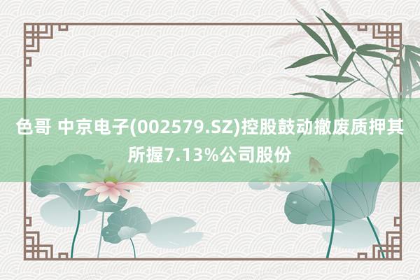 色哥 中京电子(002579.SZ)控股鼓动撤废质押其所握7.13%公司股份