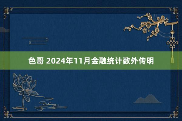 色哥 2024年11月金融统计数外传明