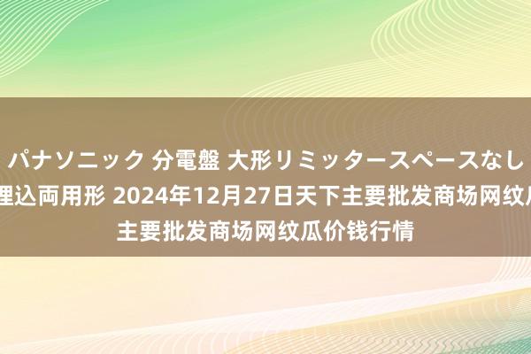 パナソニック 分電盤 大形リミッタースペースなし 露出・半埋込両用形 2024年12月27日天下主要批发商场网纹瓜价钱行情