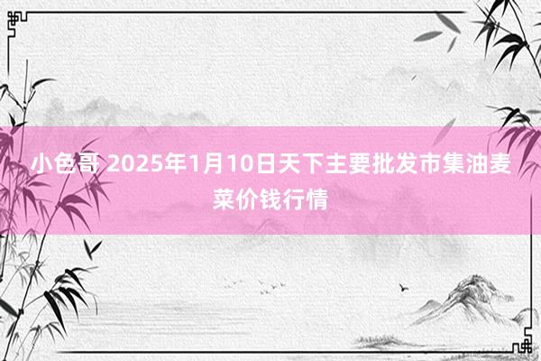 小色哥 2025年1月10日天下主要批发市集油麦菜价钱行情