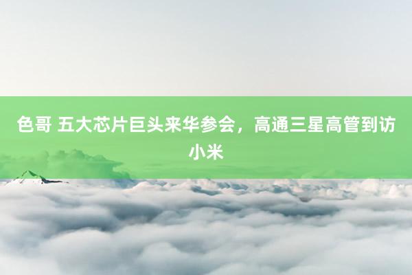 色哥 五大芯片巨头来华参会，高通三星高管到访小米