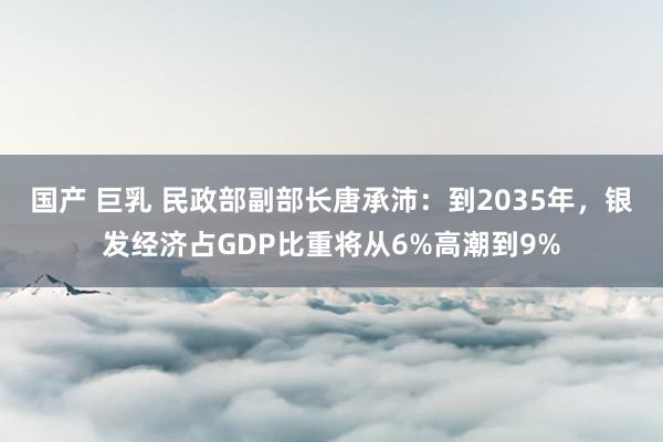 国产 巨乳 民政部副部长唐承沛：到2035年，银发经济占GDP比重将从6%高潮到9%