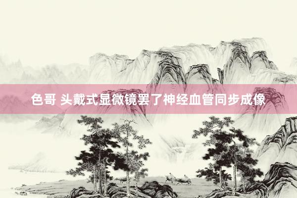 色哥 头戴式显微镜罢了神经血管同步成像